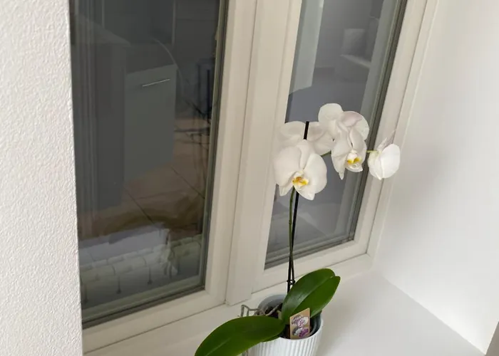 Hébergement de vacances Maison Calme Et Confortable *